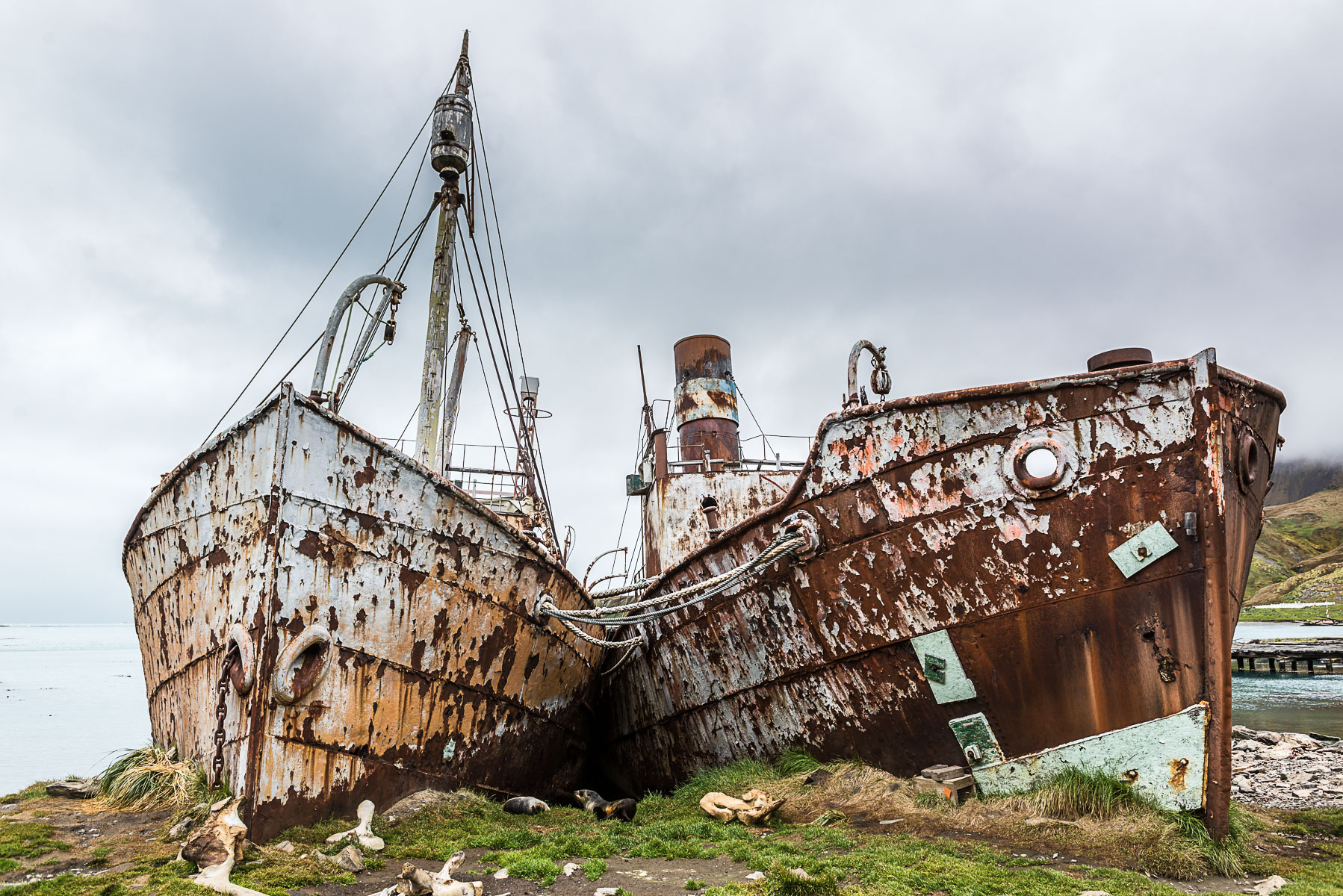 Whalers, Grytviken, South Georgia